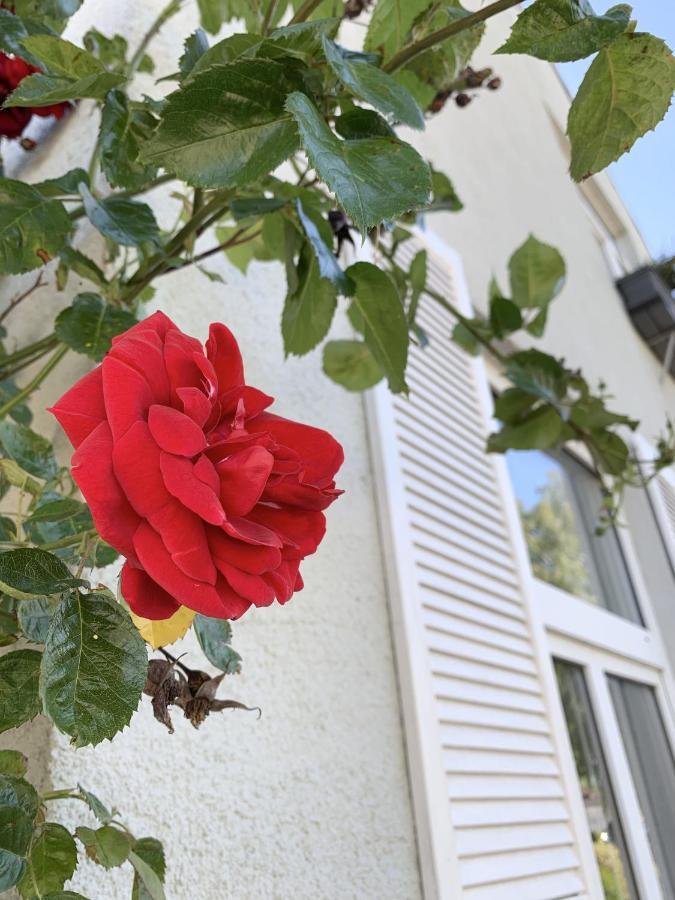 Insel Hus Villa Fehmarn Bagian luar foto